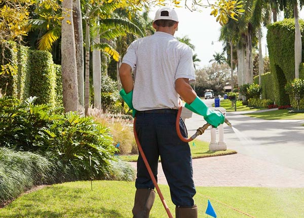 About Thermal CA Pest Control